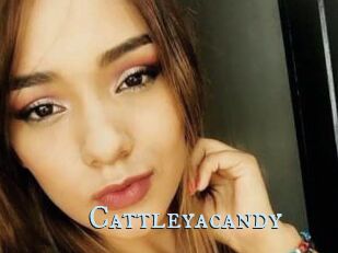 Cattleyacandy
