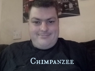 Chimpanzee