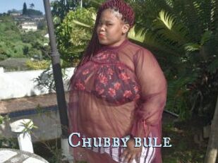 Chubby_bule