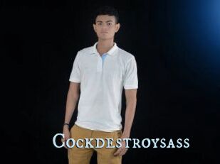 Cockdestroysass