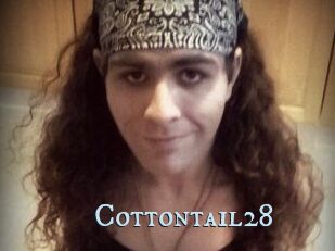 Cottontail28