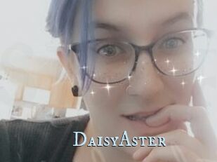 DaisyAster