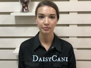 DaisyCani