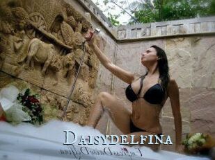Daisydelfina