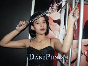 DaniPunish