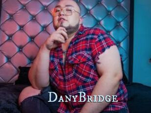 DanyBridge