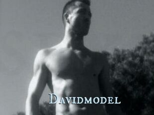 Davidmodel