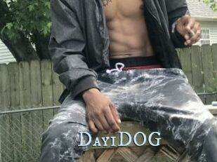 Day1DOG
