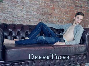 DerekTiger