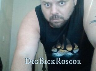 DigBickRoscoe