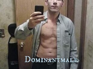 Dominantmale
