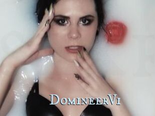 DomineerVi