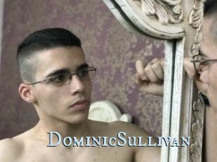 DominicSullivan