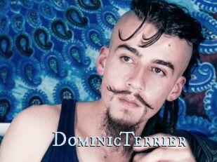 DominicTerrier