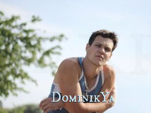 DominikYa