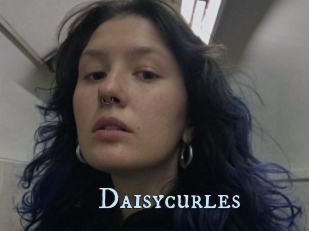 Daisycurles