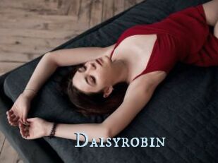 Daisyrobin