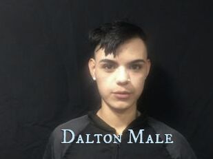 Dalton_Male