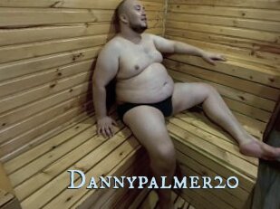 Dannypalmer20