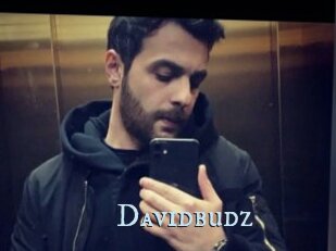Davidbudz