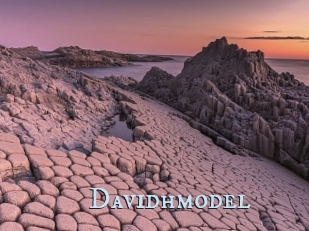 Davidhmodel