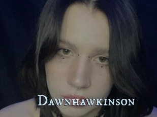 Dawnhawkinson