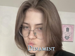 Dinamint
