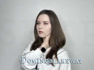 Dominoblakeway