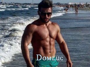 Domluc