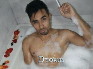 Dtorus