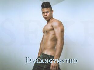 Dylangymstud