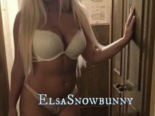 ElsaSnowbunny