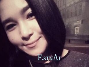 EsinAi