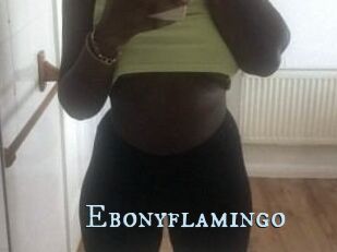 Ebony_flamingo