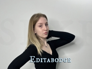 Editabodge