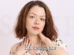 Elenecaris