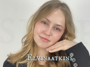 Elvinaatkins