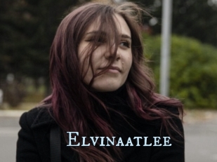 Elvinaatlee