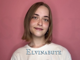 Elvinabute