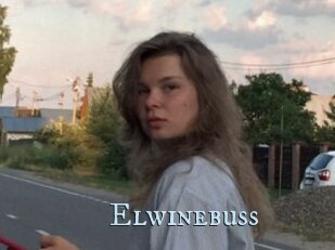 Elwinebuss