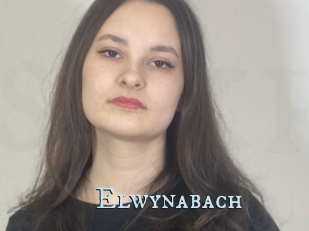 Elwynabach