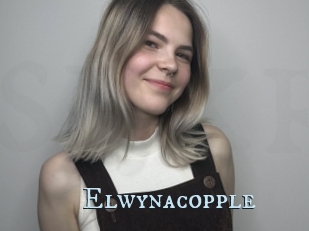 Elwynacopple