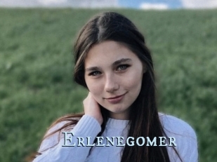Erlenegomer