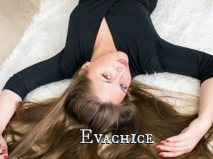 Evachice