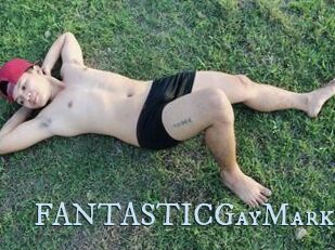 FANTASTICGayMark