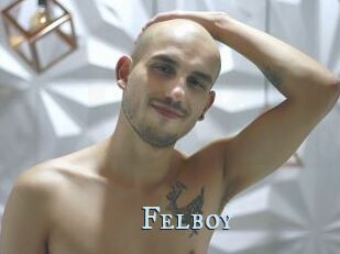 Felboy