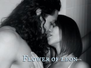 Flower_of_leon