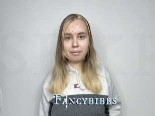 Fancybibbs