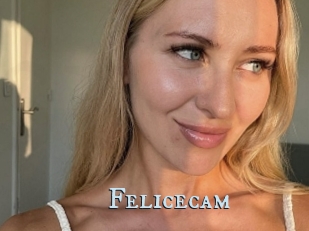 Felicecam