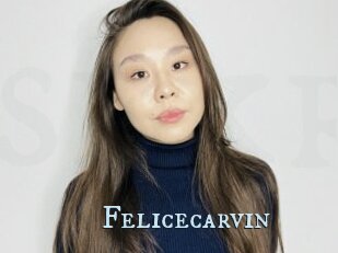 Felicecarvin